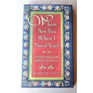 Where Are You When I Need You? : Befriending God When Life Hurts by R Levine